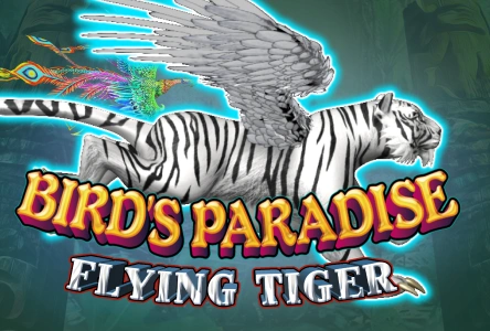 Bird's Paradise